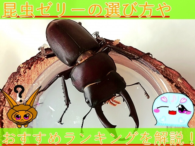 Thumbnail of post image 144